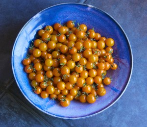 tomatoes